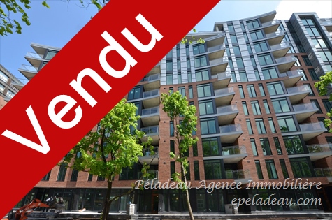 1175 Av. Turnbull #312