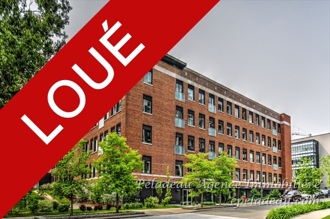 1195 Rue Louis-Adolphe-Robitaille #310