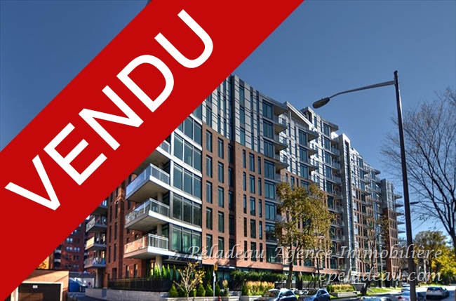 1175 Av. Turnbull #407