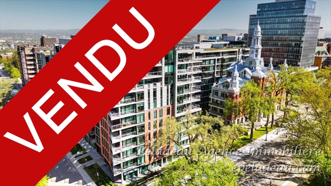 1175 Av. Turnbull #903