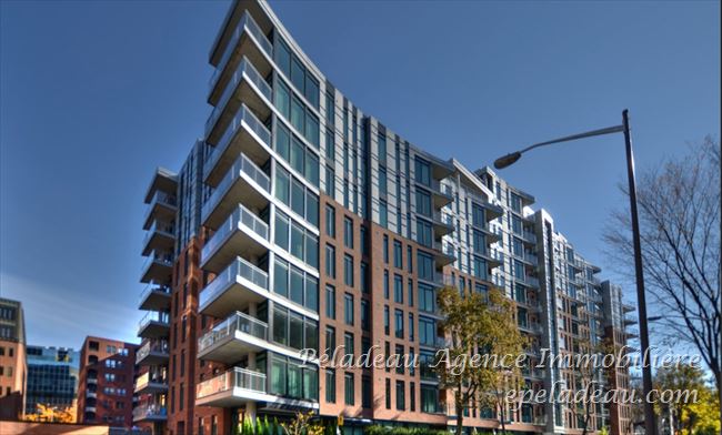 1175 Av. Turnbull #310