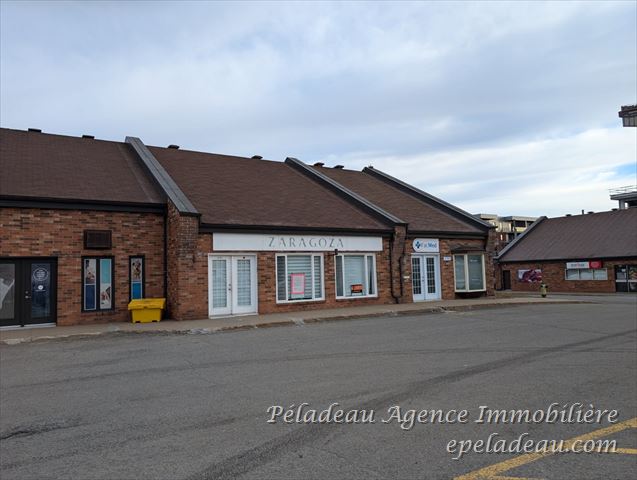 4785 Rue de la Promenade-Des-Soeurs