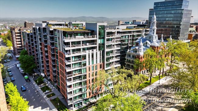 1175 Av. Turnbull #903